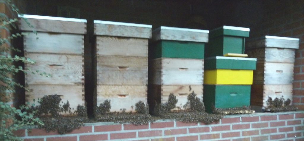 Baardvorming voor de kasten Bij hoge temperaturen 34 graden rond 20:00 uur ’s avonds op 19 augustus 2012
